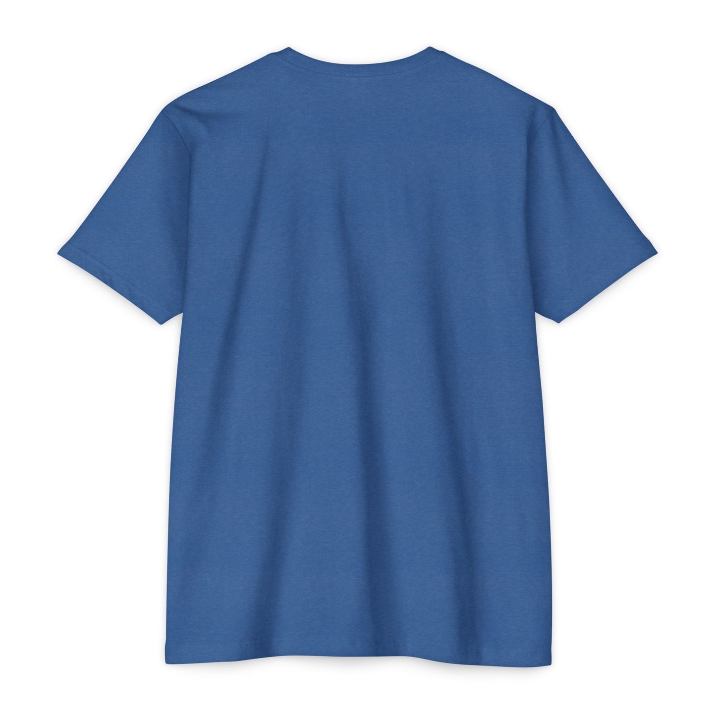 Graduation T-Shirt for SUNY Buffalo Class of 2025, Student Gift, Dorm clothing, special occasion tee