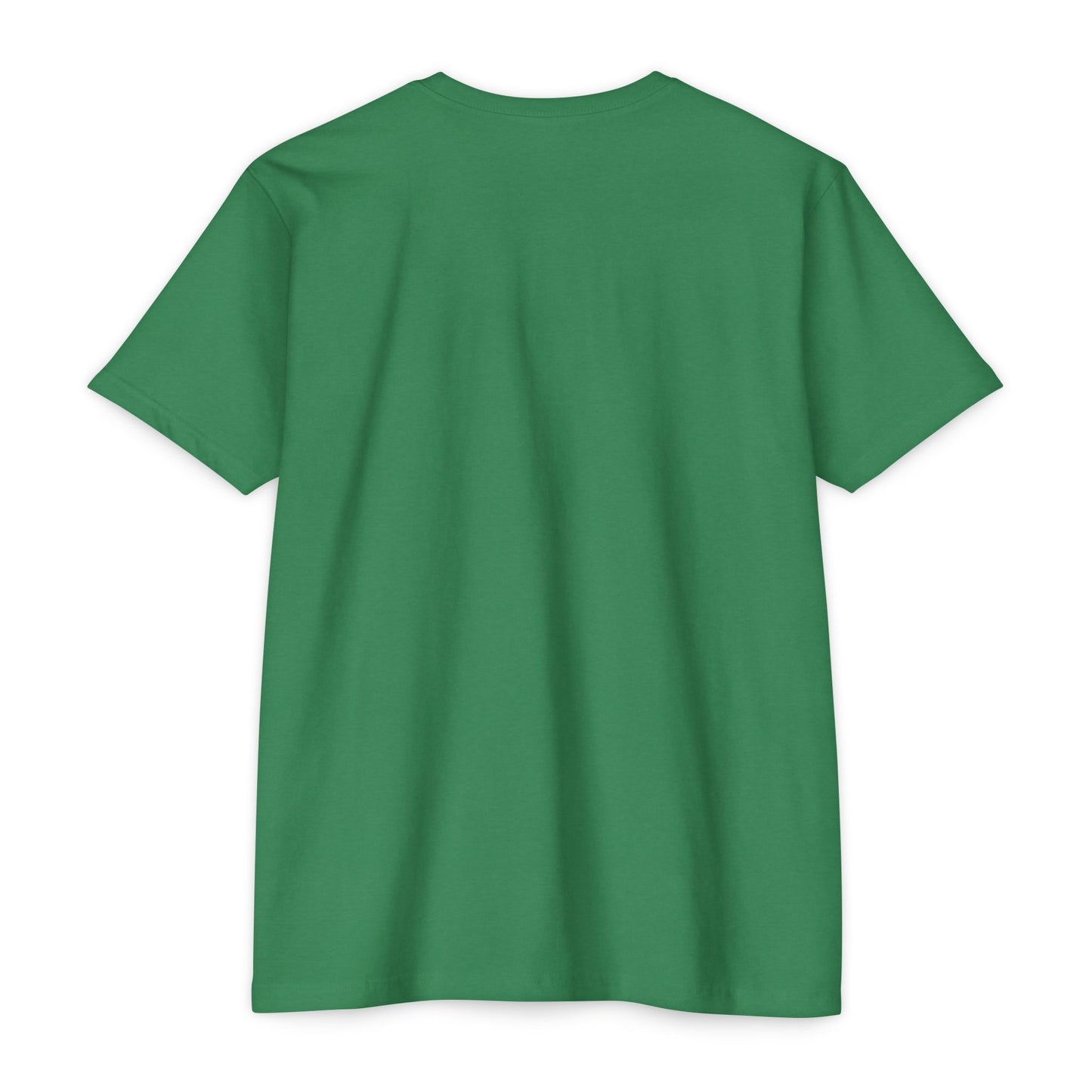 Copy of Graduation T-Shirt for SUNY Binghamton Class of 2025, Student Gift, Dorm clothing, special occasion tee