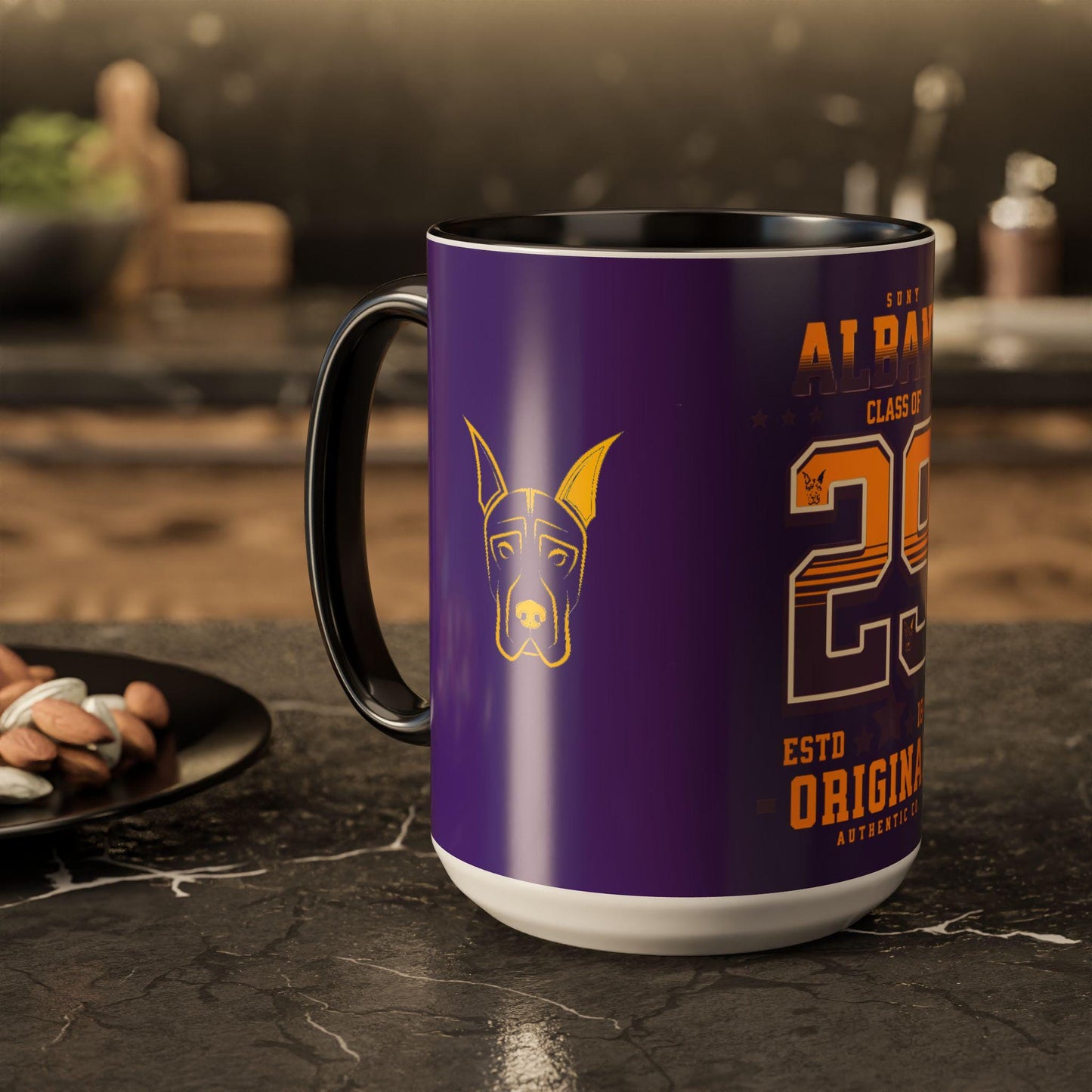 College Pride U Albany Tea Cup, Graduation Celebration Coffee Mug, Colorful Class of 29 Coffee Cup, Gift for SUNY Albany Students, Drinkware