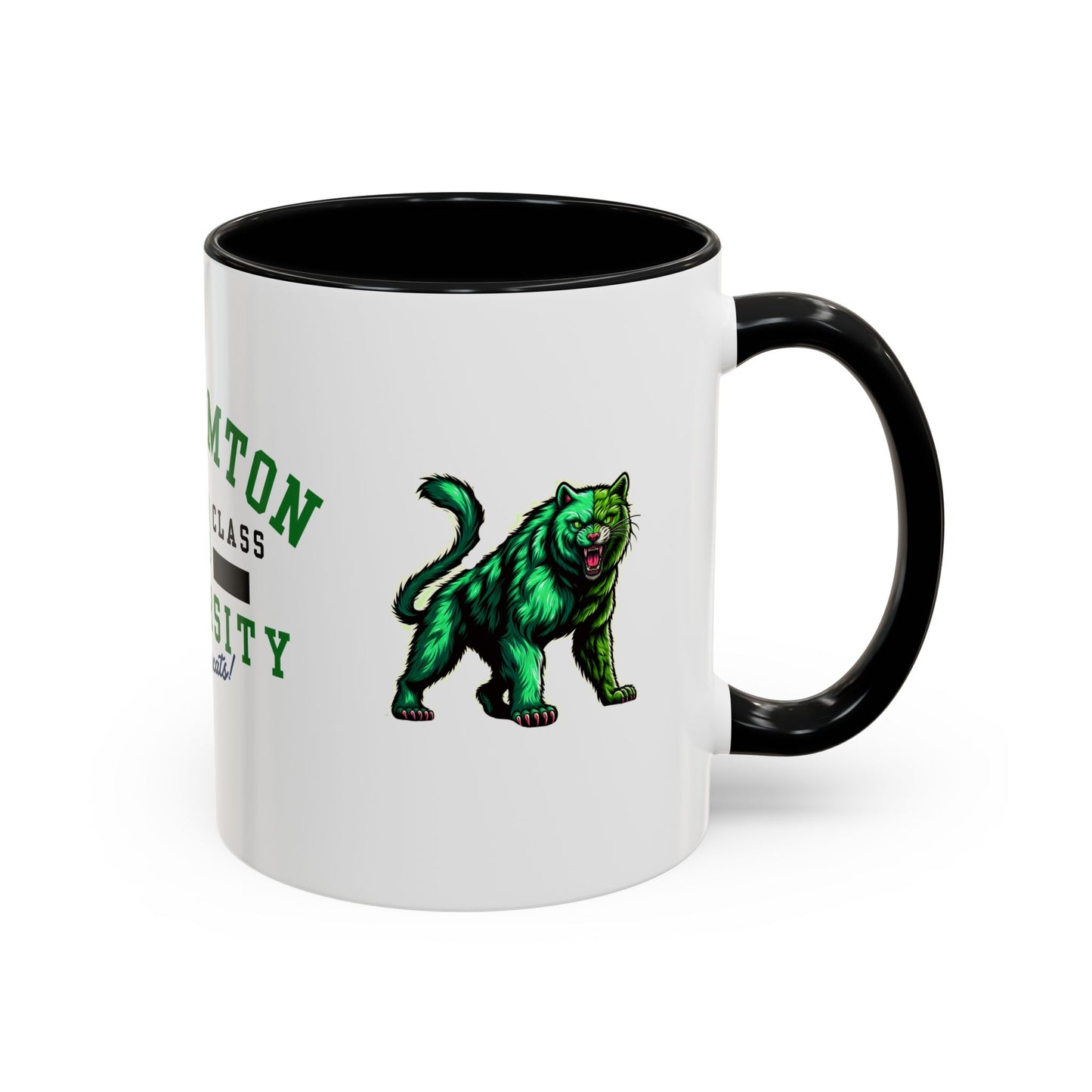 Binghamton University Graduation Coffee Mug, Class of 2029, Go Bearcats Mug for Students, Graduation Gift, College Memories