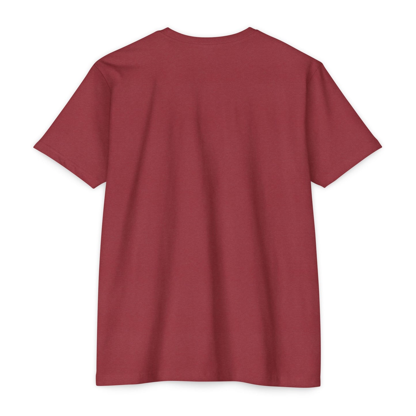 Graduation T-Shirt for SUNY Buffalo Class of 2025, Student Gift, Dorm clothing, special occasion tee