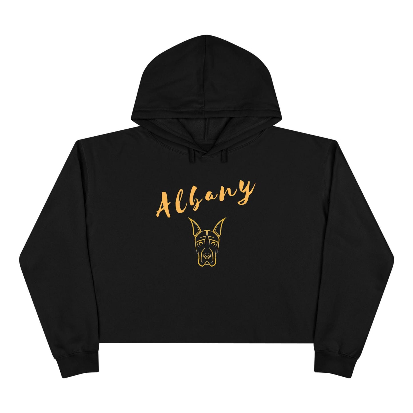 SUNY Albany Danes Crop Hoodie, Vintage Style Hoodie, College Sweatshirt, Gift for Graduates, Trendy Casual Wear