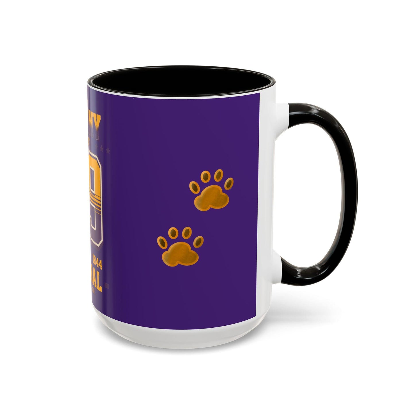 College Pride U Albany Tea Cup, Graduation Celebration Coffee Mug, Colorful Class of 29 Coffee Cup, Gift for SUNY Albany Students, Drinkware