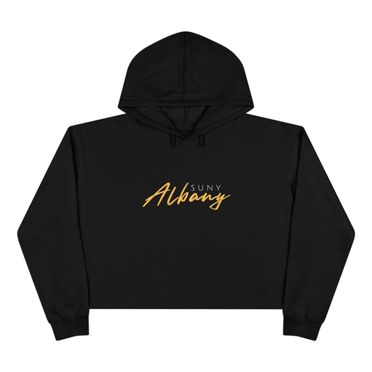 SUNY Albany Danes Crop Hoodie, Vintage Style Hoodie, College Sweatshirt, Gift for Graduates, Trendy Casual Wear