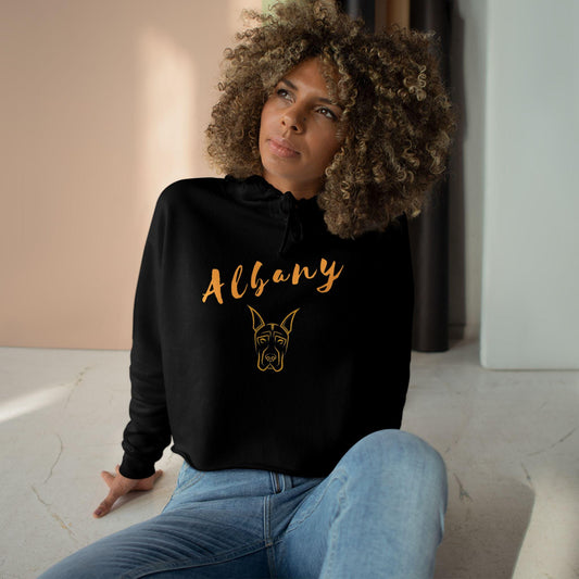 SUNY Albany Danes Crop Hoodie, Vintage Style Hoodie, College Sweatshirt, Gift for Graduates, Trendy Casual Wear