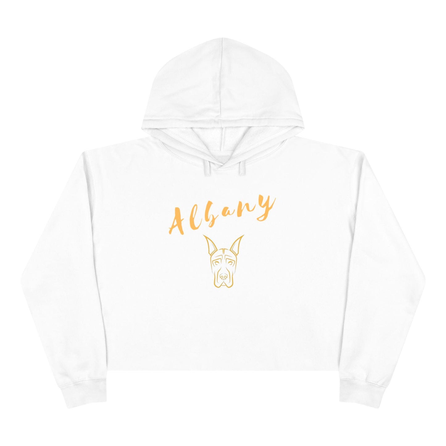 SUNY Albany Danes Crop Hoodie, Vintage Style Hoodie, College Sweatshirt, Gift for Graduates, Trendy Casual Wear