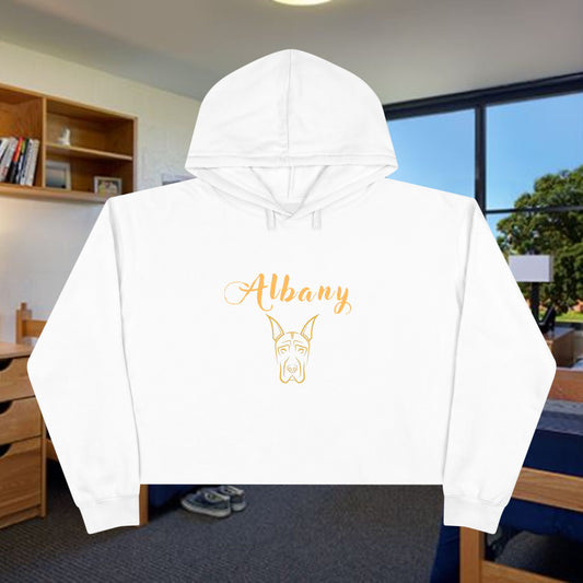 SUNY Albany Danes Crop Hoodie, Vintage Style Hoodie, College Sweatshirt, Gift for Graduates, Trendy Casual Wear