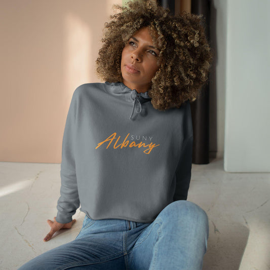 SUNY Albany Danes Crop Hoodie, Vintage Style Hoodie, College Sweatshirt, Gift for Graduates, Trendy Casual Wear
